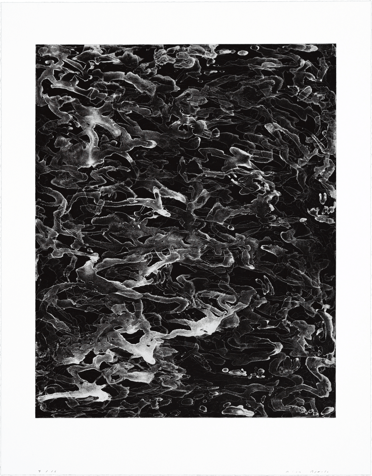 Untitled (II)