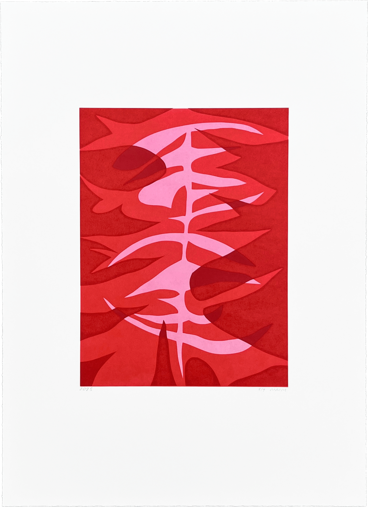 Mathias Malling Mortensen abstract monoprint: overlapping shapes in three shades of red evoke a stylised fishbone structure.