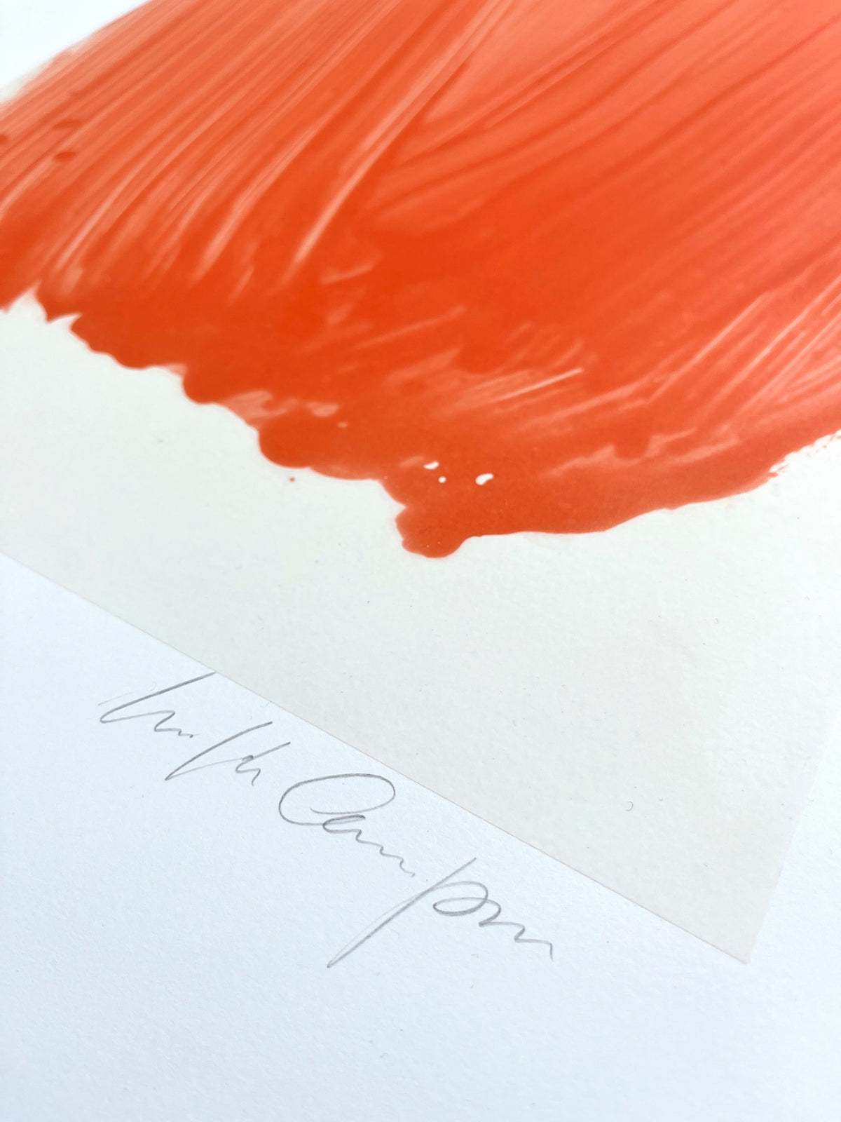 Close up detail with the artists' signature